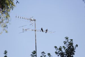 sostituzione antenna Milano
